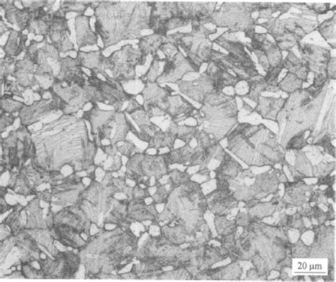 钛及钛合金 金相图谱1 钢铁知识 常州精密钢管博客网