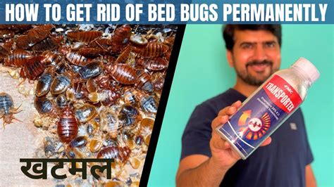 How To Get Rid Of Bed Bugs Permanently How To Use Bed Bugs Killer Spray Best Bed Bugs