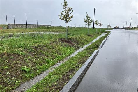 Réaménagement Des Infrastructures Urbaines Du Boulevard Raymond Afg