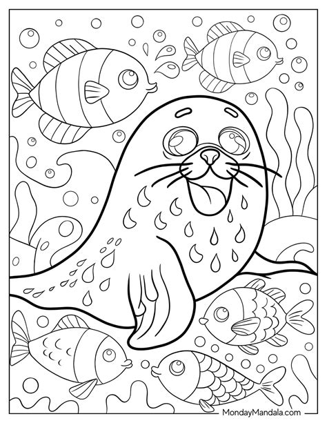 20 Seal Coloring Pages (Free PDF Printables)