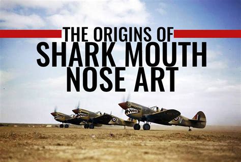 The Origins of Shark Mouth Nose Art - AirCorps Art