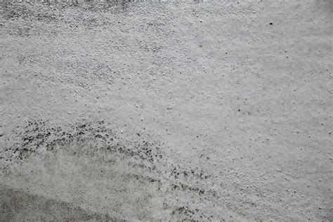 Concrete Beton Wet Free Texture