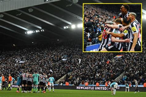 'After years of desolation, elation' - Newcastle one win away from ...
