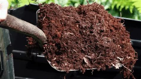 Tiny House Composting Toilet: The Ultimate Guide - Krista Howard Blog