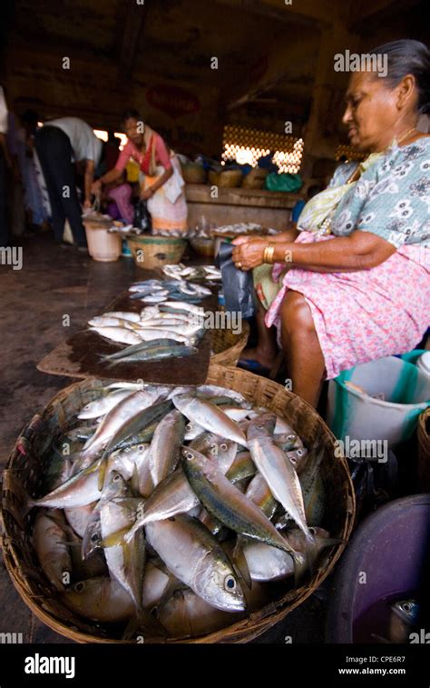 Woman Selling Fish Mapusa Market Goa India Asia Stock Photo Alamy