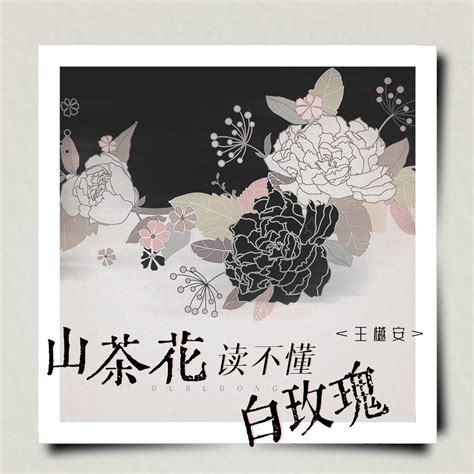 Apple Music 上王若晴的专辑山茶花读不懂白玫瑰 Single