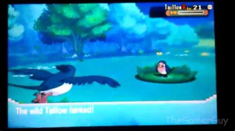 Shiny Chronicles 2 Live Shiny Taillow With Dex Nav YouTube