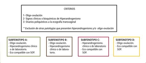 Criterios Del Consenso De Rotterdam 2003 Download Scientific Diagram