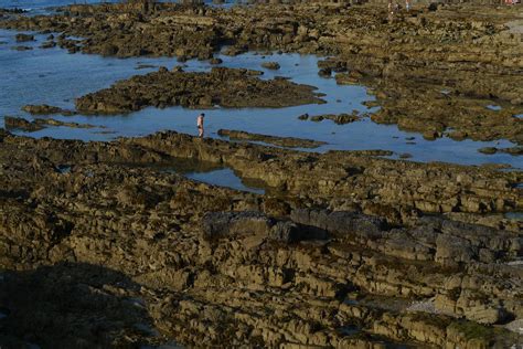 Poze Mare Coast Mers Natur St Nc Zonelor Umede Reflec Ie