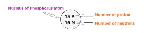 Phosphorus Bohr Model - How to draw Bohr diagram for Phosphorus (P)