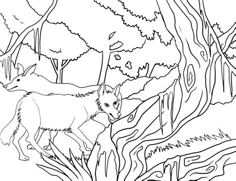 Desenhos Do Coyote Para Colorir Desenhos Para Colorir Online Porn Sex