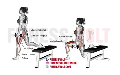 How To Do Dumbbell One Leg Split Squat Legs Fitness Volt