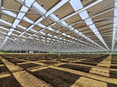 Japan Releases New Guidelines For Agrivoltaics As Installations Hit 200