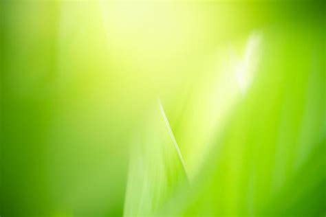 Light Green Nature Stock Photos, Images and Backgrounds for Free Download