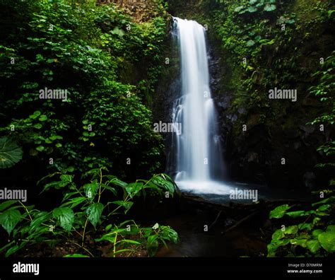 Waterfall inside tropical jungle of Costa Rica Stock Photo - Alamy