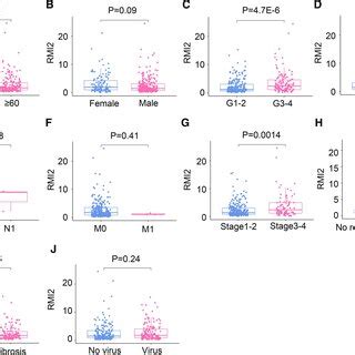 Correlation Between Rmi Expression And Clinicopathological Features A