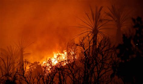 Dos Muertos Y 400 Viviendas Afectadas Por Un Incendio En Viña Del Mar