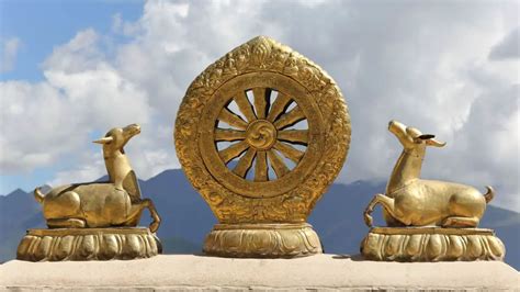 Unlocking the Mysteries of the Dharma Wheel: An In-Depth Guide - the ...