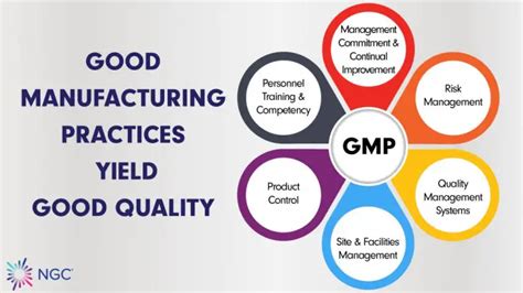 Q7 Gmp Guidance For Active Pharmaceutical Ingredients