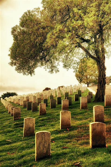 San Francisco National Cemetery Photograph By Celso Diniz Fine Art