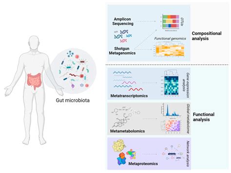 Omic Platforms For The Characterization Of Gut Microbiota Amplicon