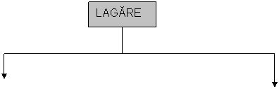 Auxiliar Curricular Electromecanica Frigotehnist Montarea Si