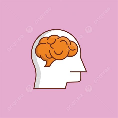 Cerebro órgano Del Cuerpo Cerebro Vector PNG dibujos Cuerpo Organo