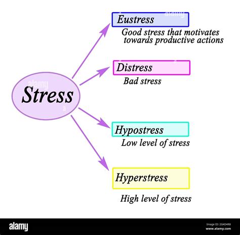 Two Types Of Stress