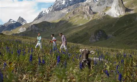 Gr Nde F R Einen Sommerurlaub In Tirol Hotel Sonne