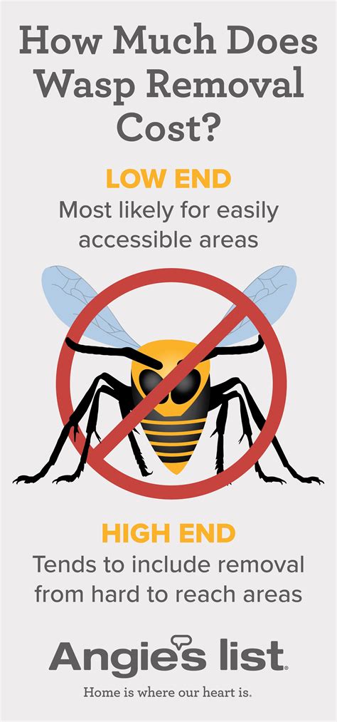 Wasp Nest Removal Cost Factors