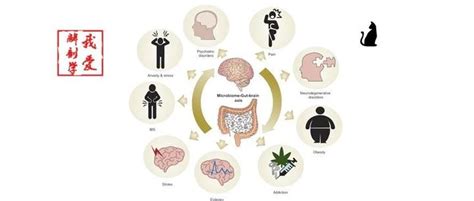 微生物 肠 脑轴图略 知乎