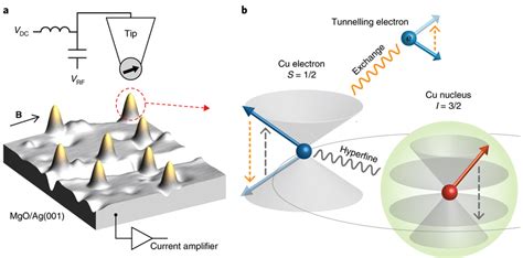 Electrical Polarization Of The Nuclear Spin Of A Cu Atom On Mgo A