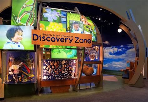 Discovery Zone Members Sneak Peek – Florida Museum