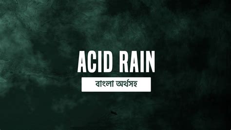 Essay Paragraph On Acid Rain Academeo Youtube