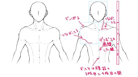 男らしい上半身の描き方、アタリのつけ方 絵師ノート