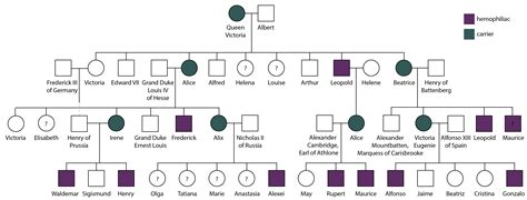 Hemophilia Pedigree Of Queen Victoria And Prince Albert Pedigree