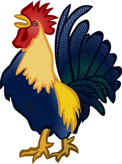 Ayam Png Vector 56 Koleksi Gambar