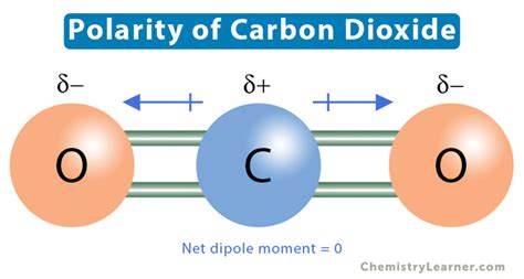 Polarity Definition Example And How To Determine