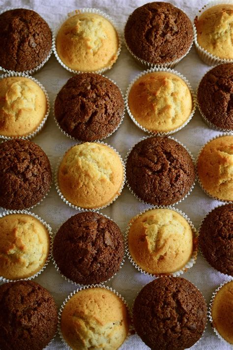 Cara Membuat Muffin Vanila Chocochips Dan Tips Agar Mengembang Dengan Baik