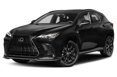 2024 Lexus Nx Pictures