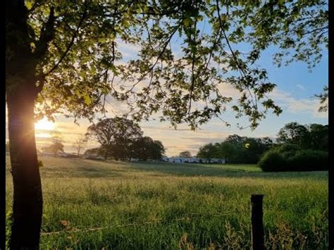 En Loire Atlantique le domaine du Mès vous accueille pour des vacances