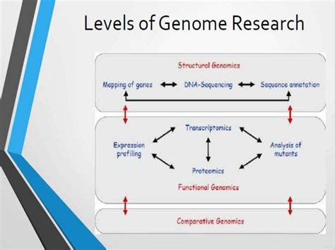 Functional Genomics