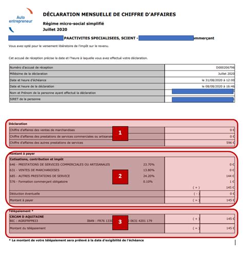 Tutoriel pour la déclaration du chiffre daffaires du micro