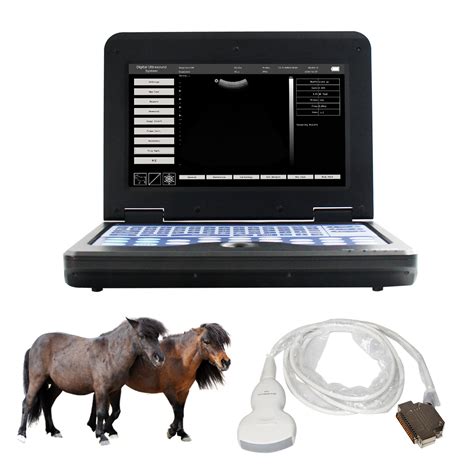 Contec Cms P Vet Probes Handheld Veterinary Portable Ultrasound