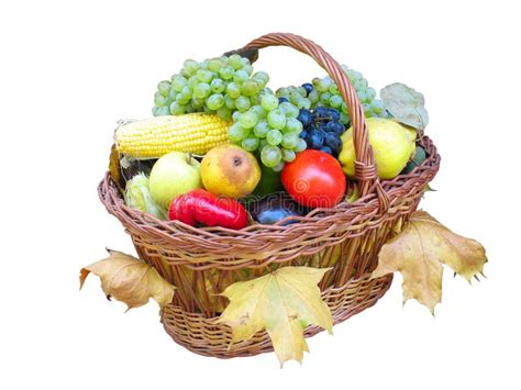 Autumn Fruits And Vegetables Stock Photo Image Of Green Collection