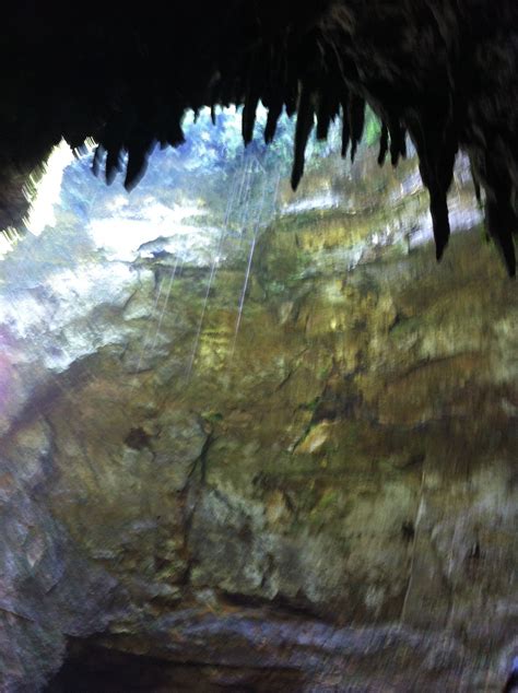 Caves in Camuy PR | Camuy, Vacation spots, Painting