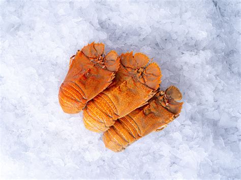 Wholesale Seafood Supplier - Fisherman's Wharf Seafood