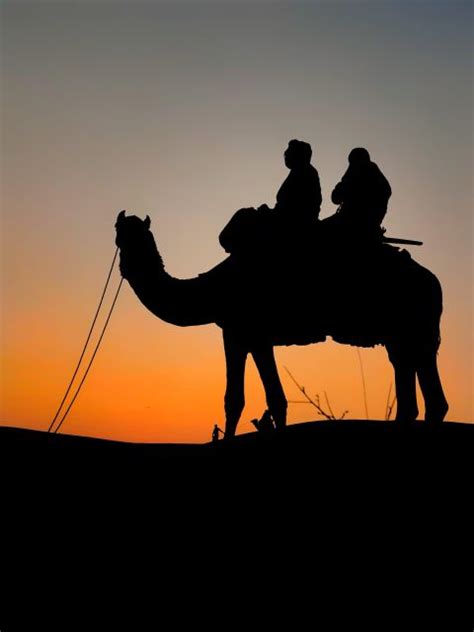 Marrakech Quads Camels On Sunset And Romantic Dinner Show GetYourGuide