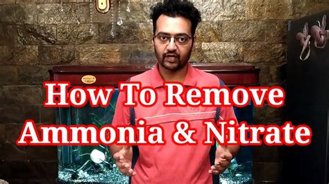 How To Remove Ammonia Nitrate In Aquarium Ammonia In Fish Tank