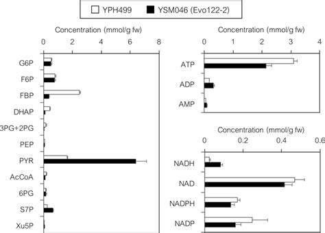 Metabolic Profiling Of The Yph499 And Ysm046 Evolved PdcΔ Strains Download Scientific